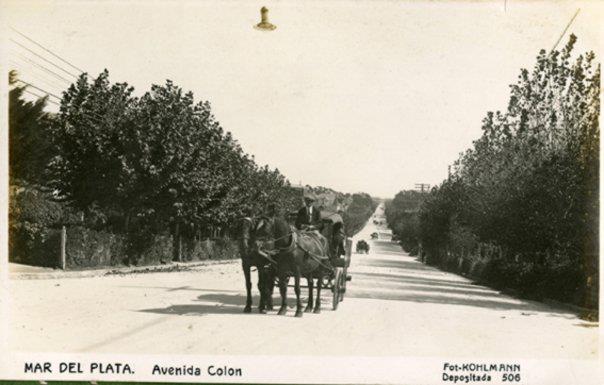 Avenida Colon