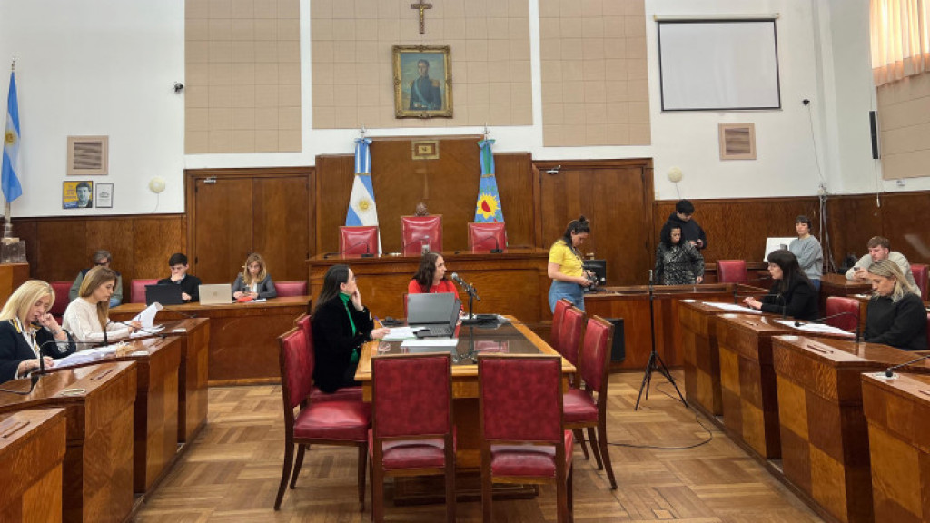 Derechos Humanos: Proyectos sobre discapacidad